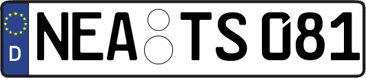 NEA-TS081