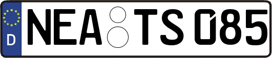 NEA-TS085