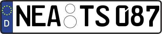 NEA-TS087