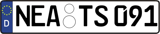 NEA-TS091