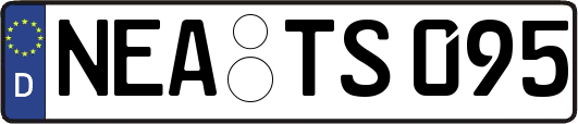 NEA-TS095