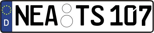 NEA-TS107