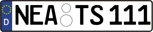 NEA-TS111