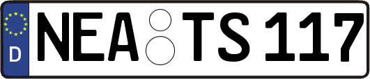 NEA-TS117