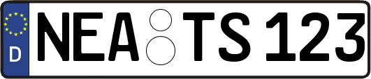 NEA-TS123