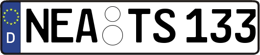 NEA-TS133