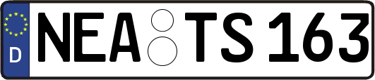 NEA-TS163