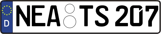NEA-TS207