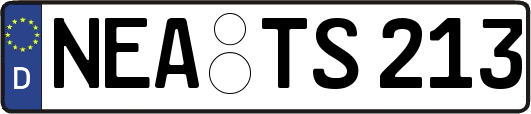 NEA-TS213