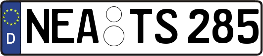 NEA-TS285