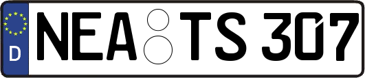 NEA-TS307