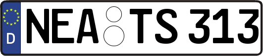 NEA-TS313