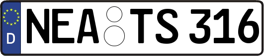 NEA-TS316
