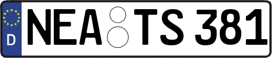 NEA-TS381