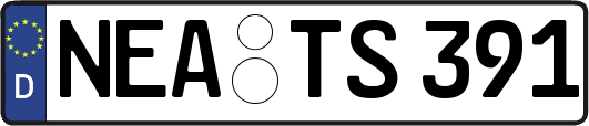 NEA-TS391