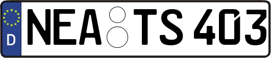 NEA-TS403