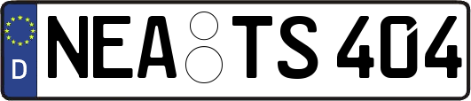 NEA-TS404