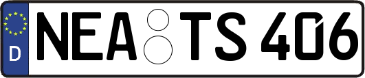 NEA-TS406