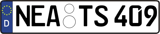 NEA-TS409