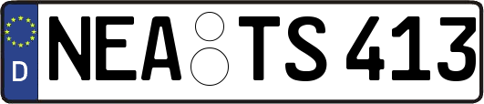 NEA-TS413