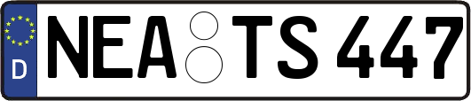 NEA-TS447