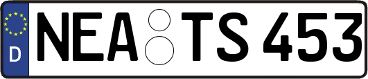 NEA-TS453