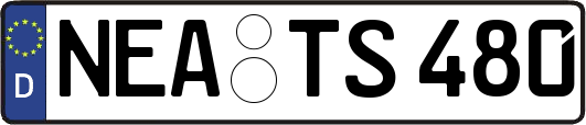 NEA-TS480