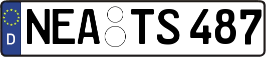 NEA-TS487