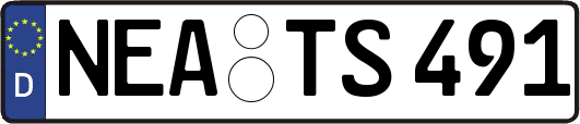 NEA-TS491