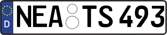 NEA-TS493