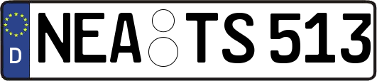 NEA-TS513