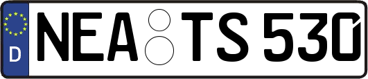 NEA-TS530