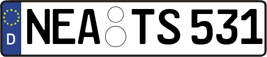 NEA-TS531