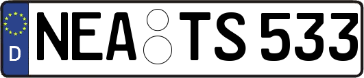 NEA-TS533