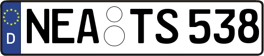 NEA-TS538