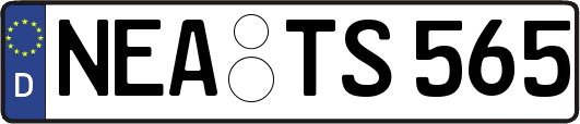 NEA-TS565