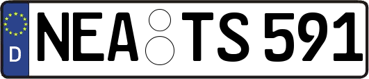 NEA-TS591