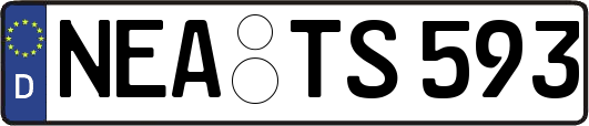 NEA-TS593