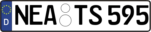 NEA-TS595