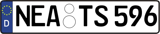 NEA-TS596