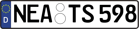 NEA-TS598