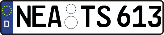 NEA-TS613