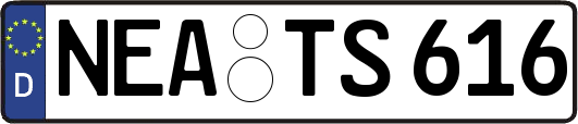 NEA-TS616