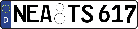 NEA-TS617