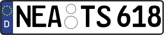 NEA-TS618