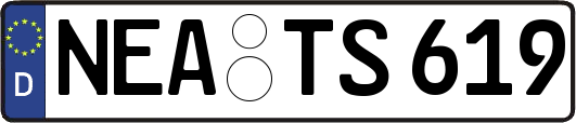 NEA-TS619