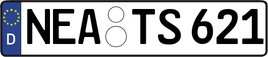 NEA-TS621
