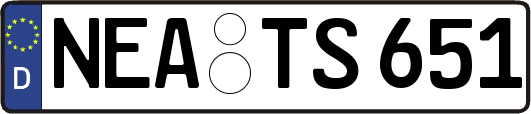 NEA-TS651