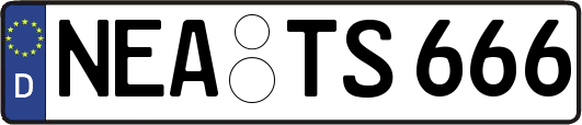 NEA-TS666
