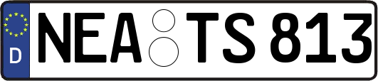 NEA-TS813